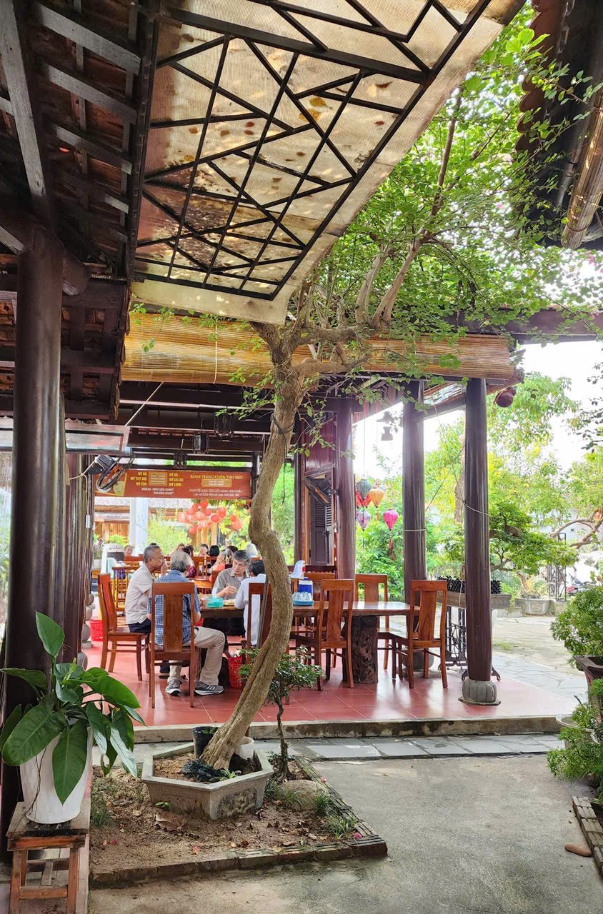 Mỳ Quảng Cây Ngô Đồng một buổi sáng